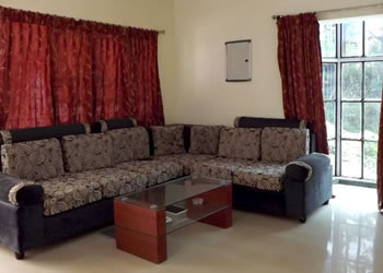 Living hall with sofa