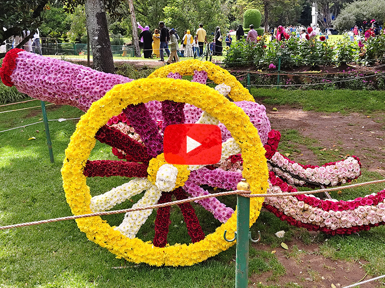 Flower Show