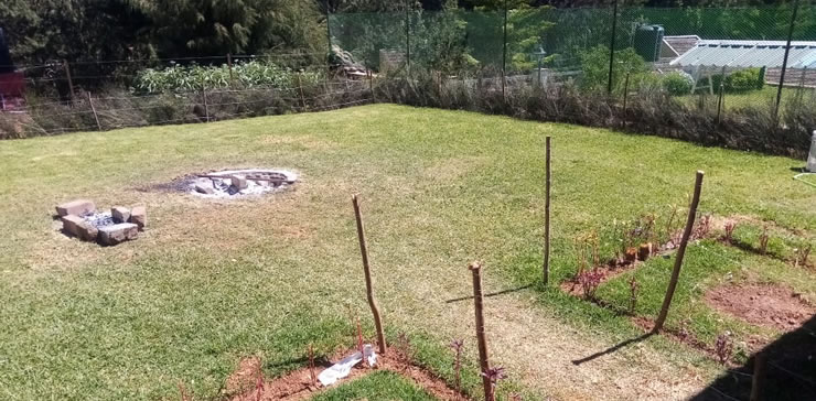 cottage lawn garden with fire pit area