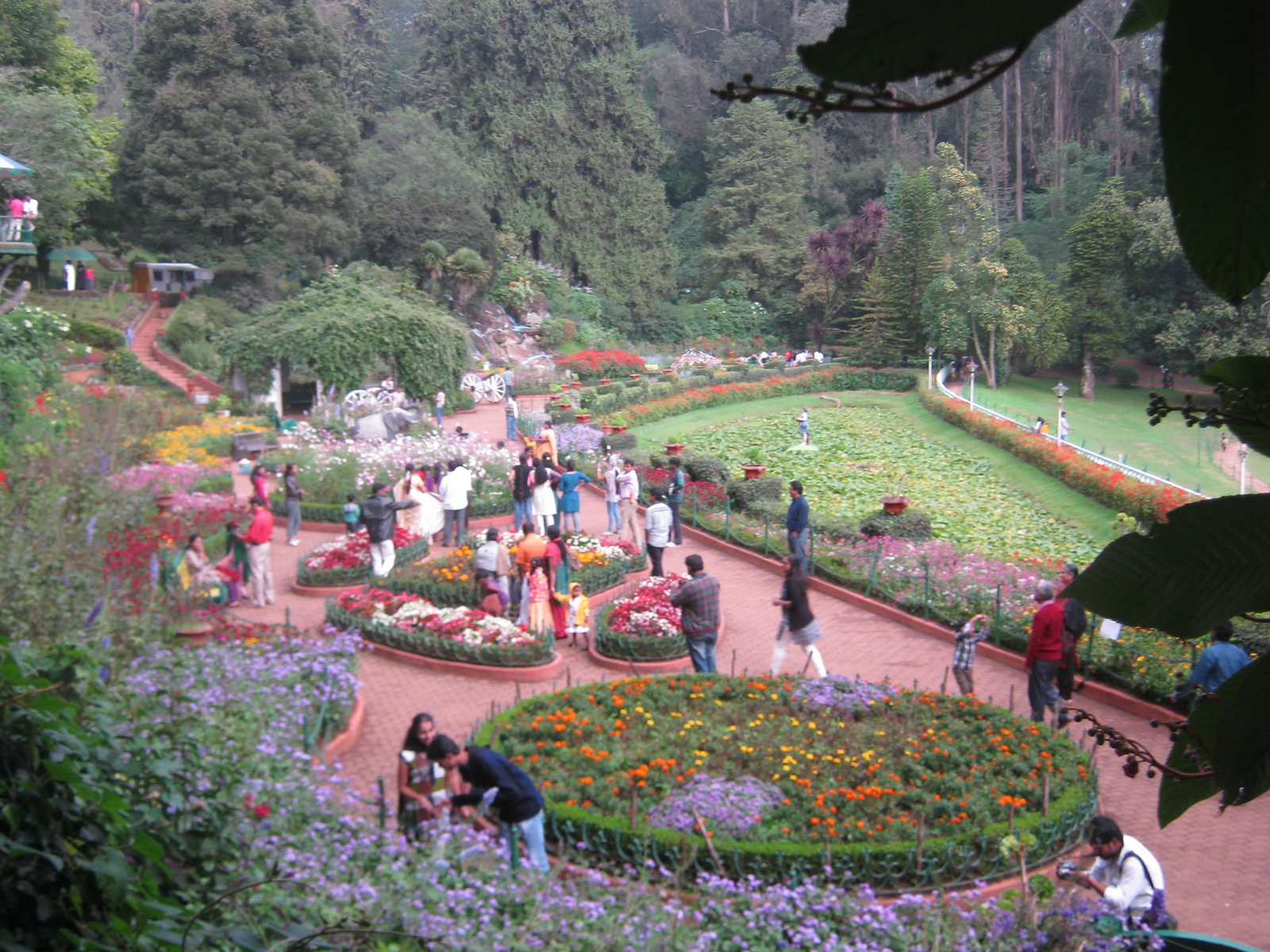Botanical Garden