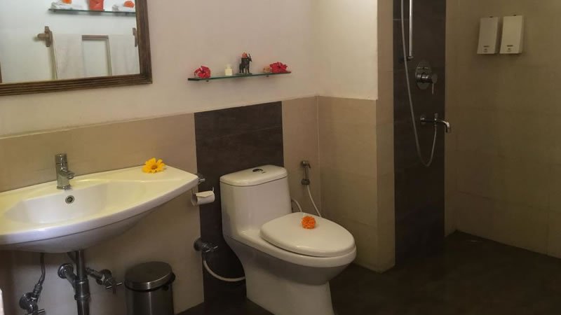 Private bathroom with wash basin, toilet, mirror and separate shower area