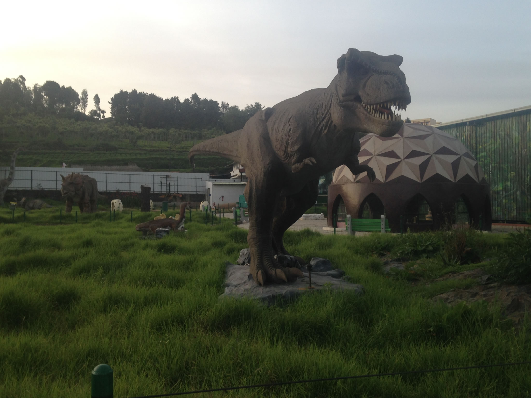 Ooty Dinosaur Park