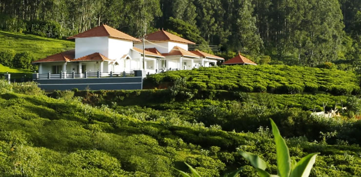 Scenic view of Ooty estate cottage surrounded by lush green tea plantations and hillside landscape