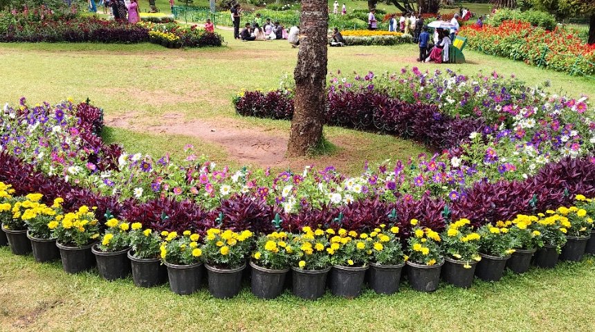 Botanical garden flowr show 10