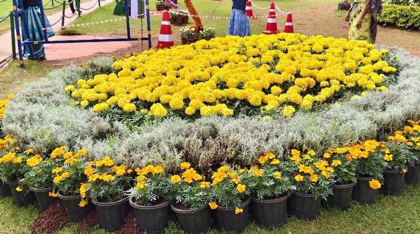 Botanical garden flowr show 11
