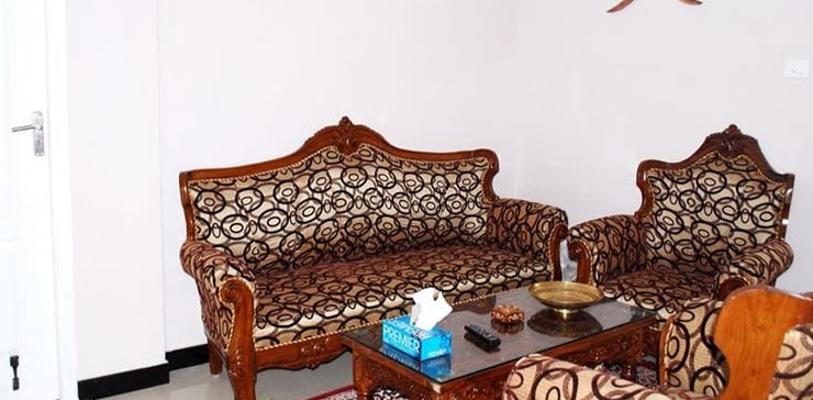 Living room with sofa seating and wooden furniture