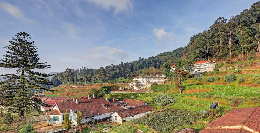 garden-view