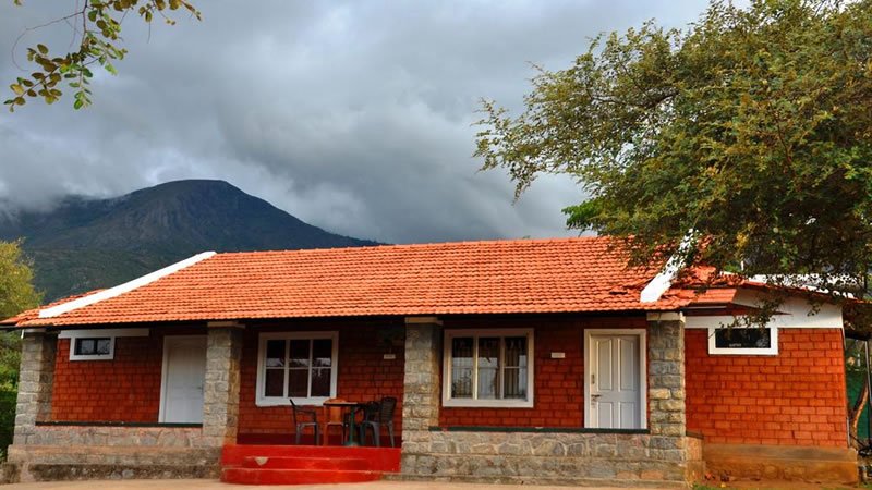 Kings Wild Retreat Resorts, Masinagudi