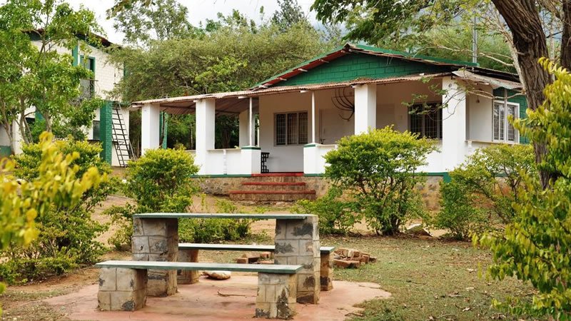 White holiday home with green roof, veranda and landscaped garden