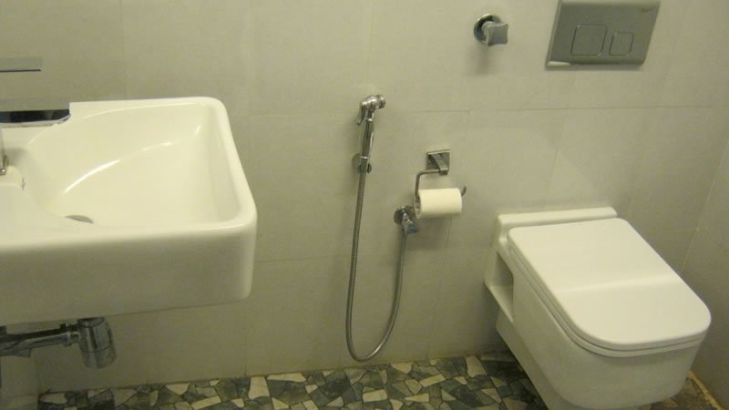 Modern bathroom with western toilet