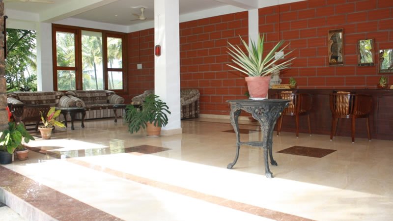 Bright reception and lounge area with sofas, wooden chairs and indoor plants