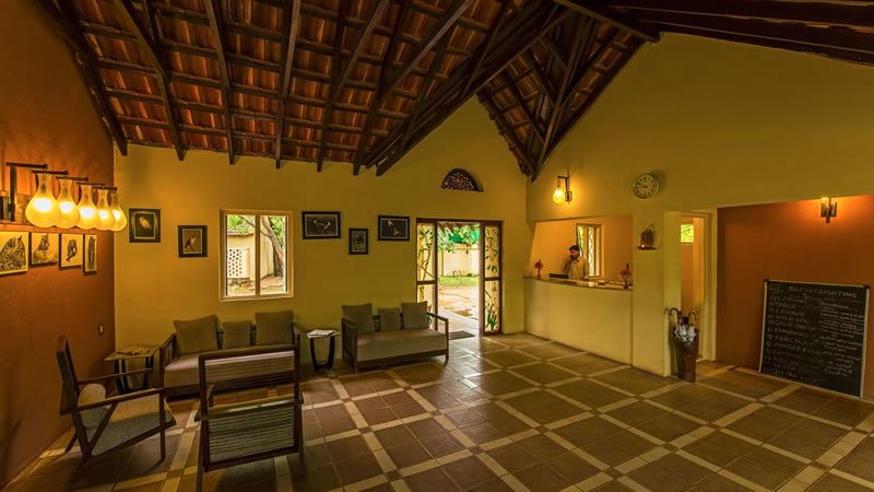 Windflower Jungle Resort, Bandipur