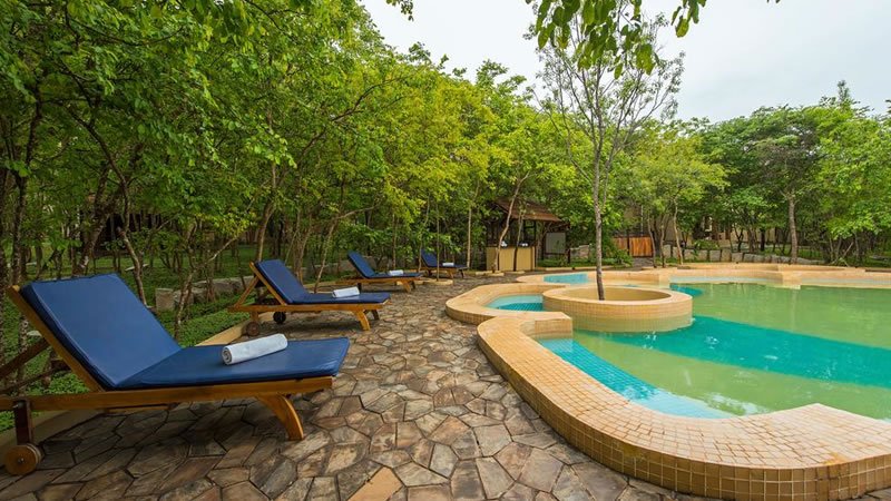 Outdoor swimming pool with sun loungers surrounded by lush forest greenery